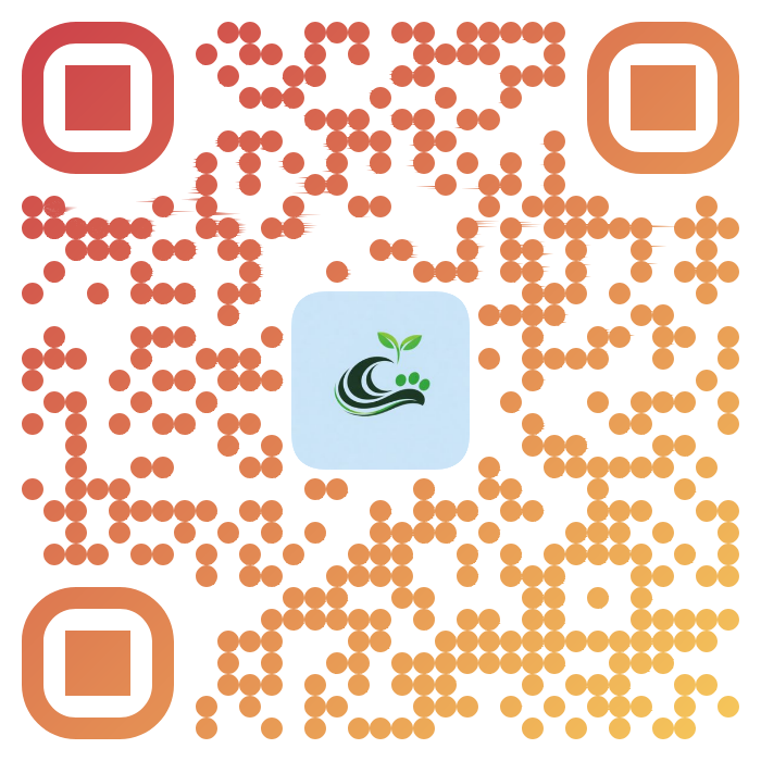 Scan to support DeDe Lifewater